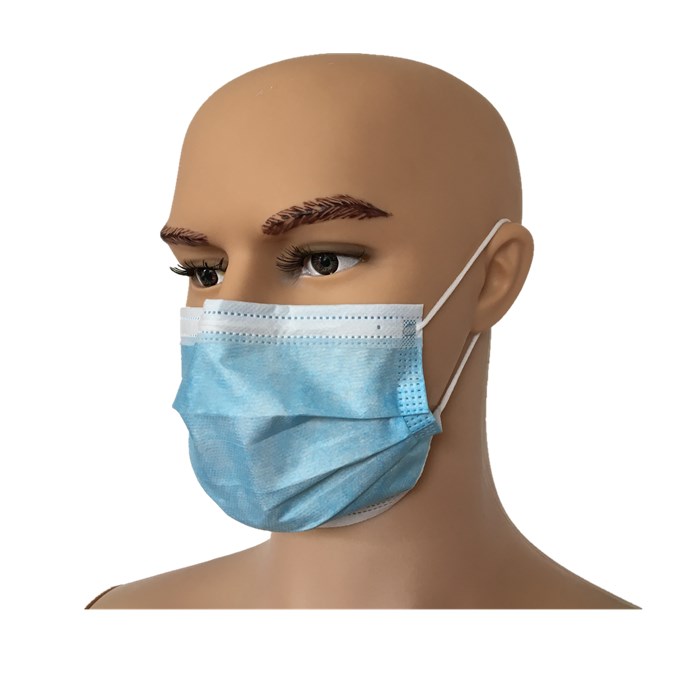 Earloop mask_Surgical Face Mask